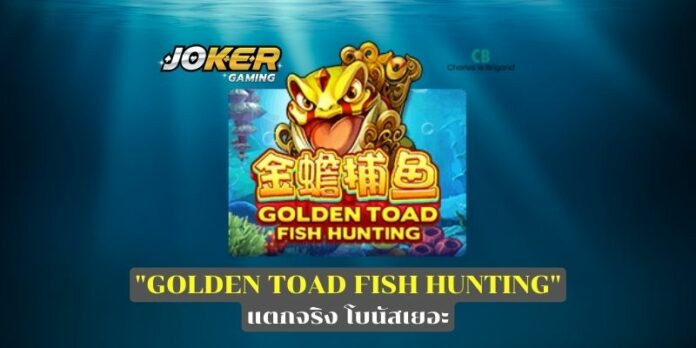 GOLDEN TOAD FISH HUNTING